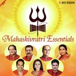 Mahashivratri Essentials - Arvinder Singh Song Download